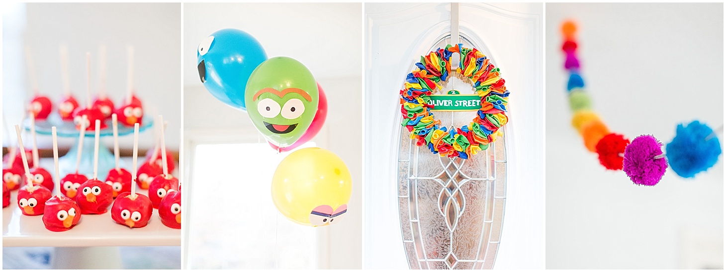 Sesame Street Cookie Monsters Birthday party supplies and Balloon  Decorations